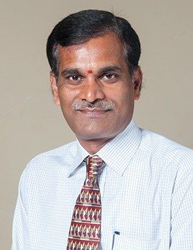 K V Manjunatha, Librarian